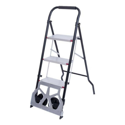 Dual-Use Folding Ladder